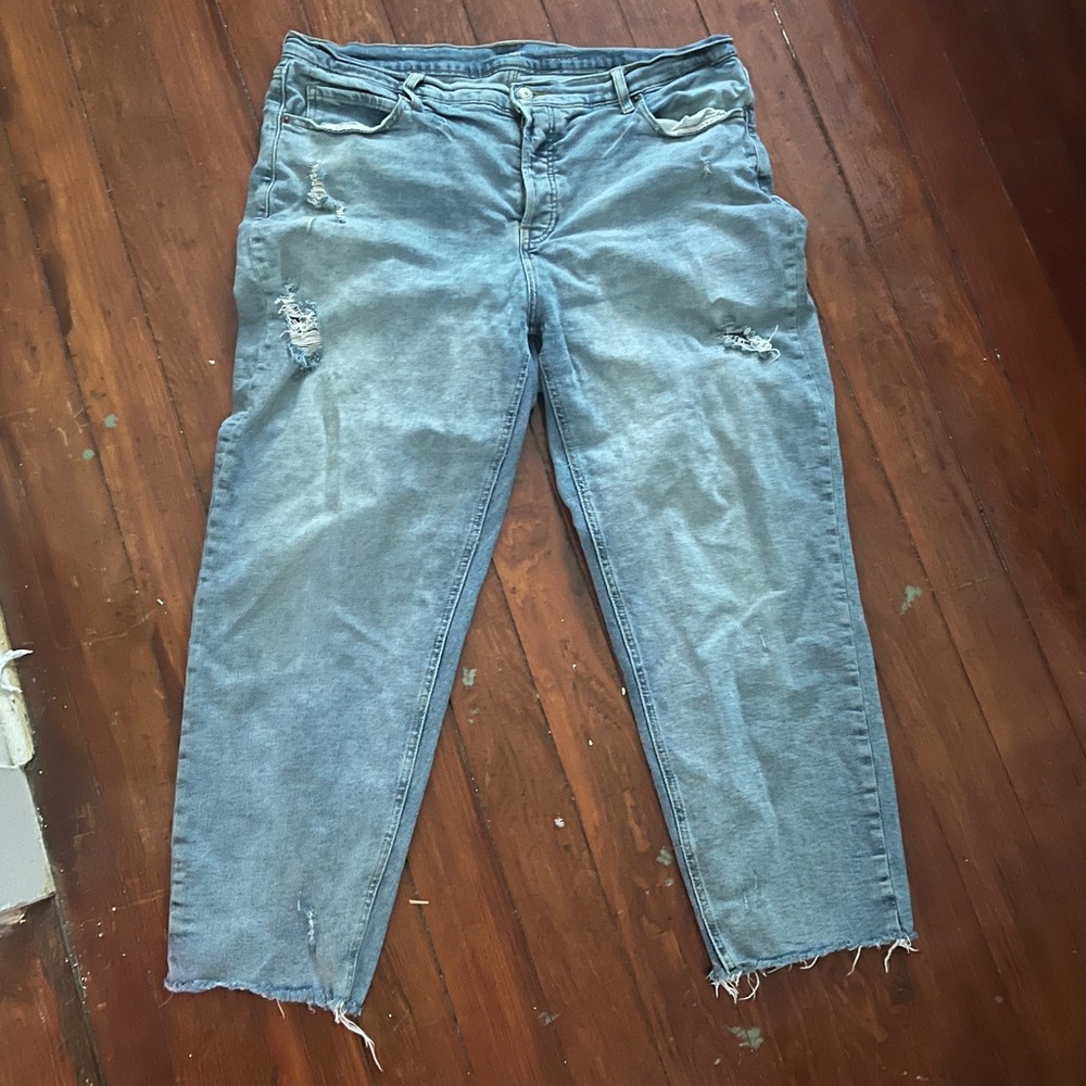 Plus Size curve jeans Stylish Distressed Blue Jeans for Women